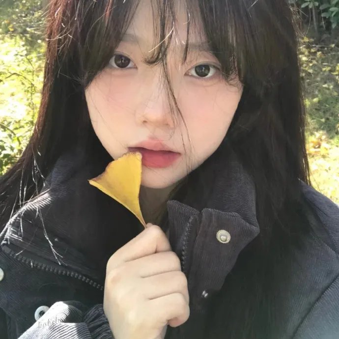 鲁冰花